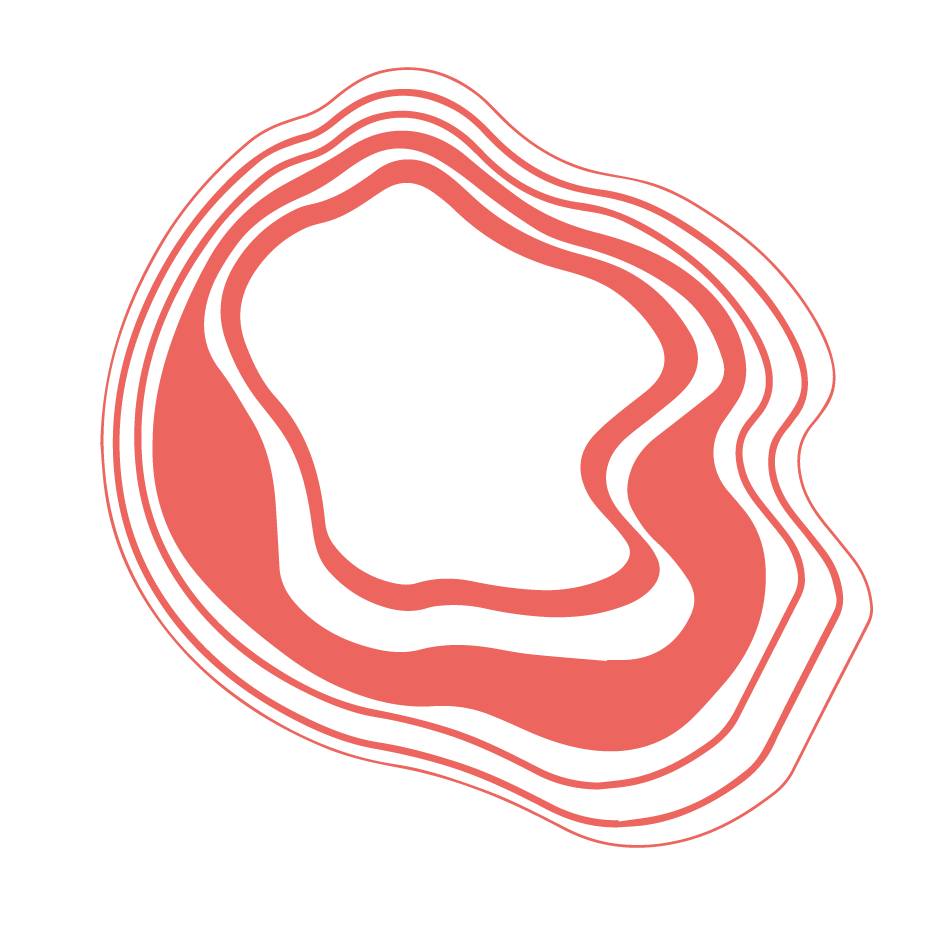 Surround Festival